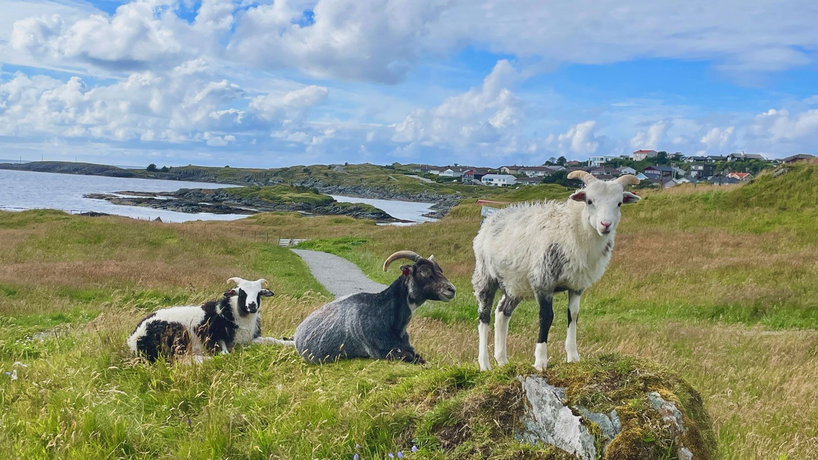 Haraldshaugen - Reise Story - Isabelle DAngelo - Innenarchitektin - DOBAS AG.jpg