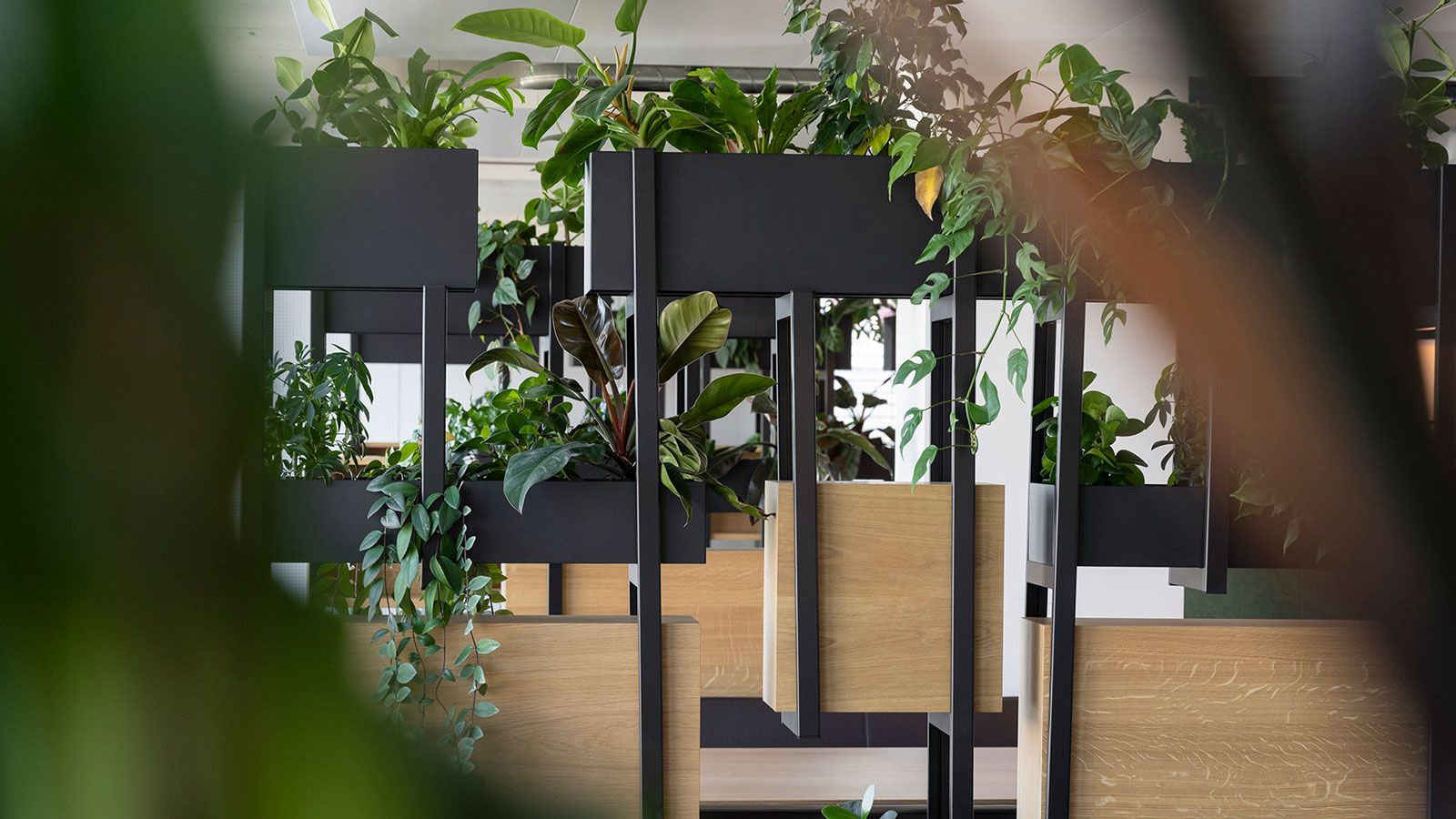Sunrise UPC Pflanzenregale - Innenarchitektur Innenbegruenung © Hydroplant.jpg