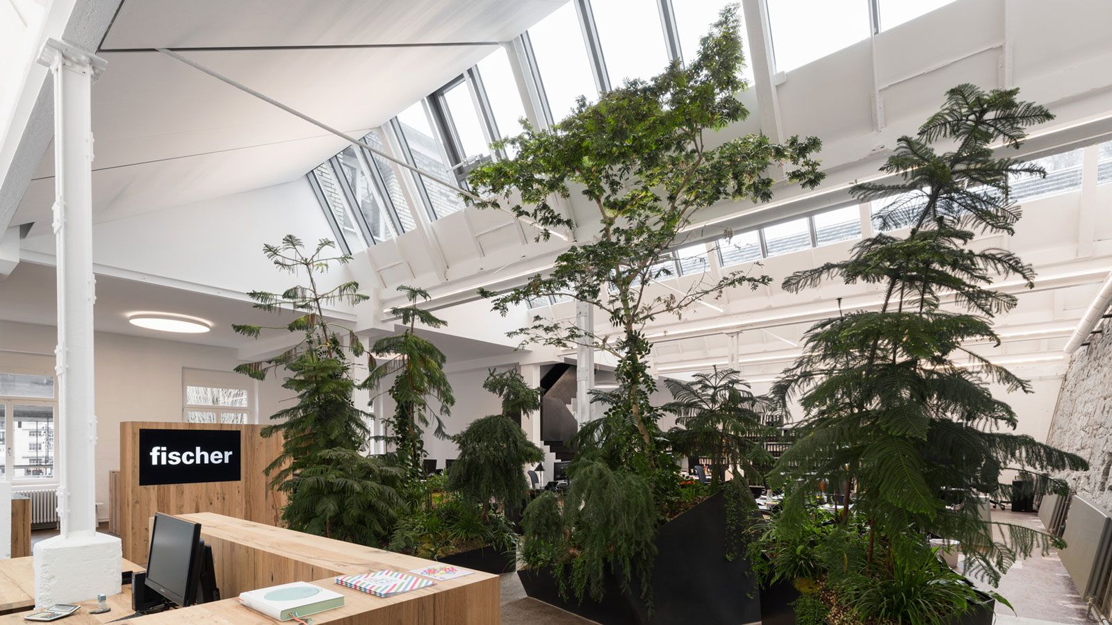 Fischer - Innenarchitektur Innenbegruenung © Hydroplant.jpg