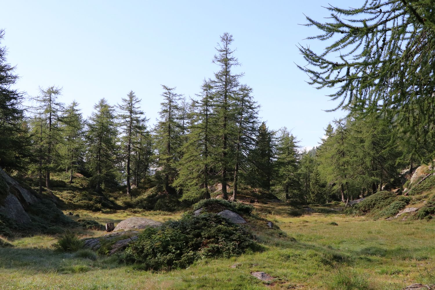 Teamausflug 2021 Wanderung - DOBAS AG.jpg