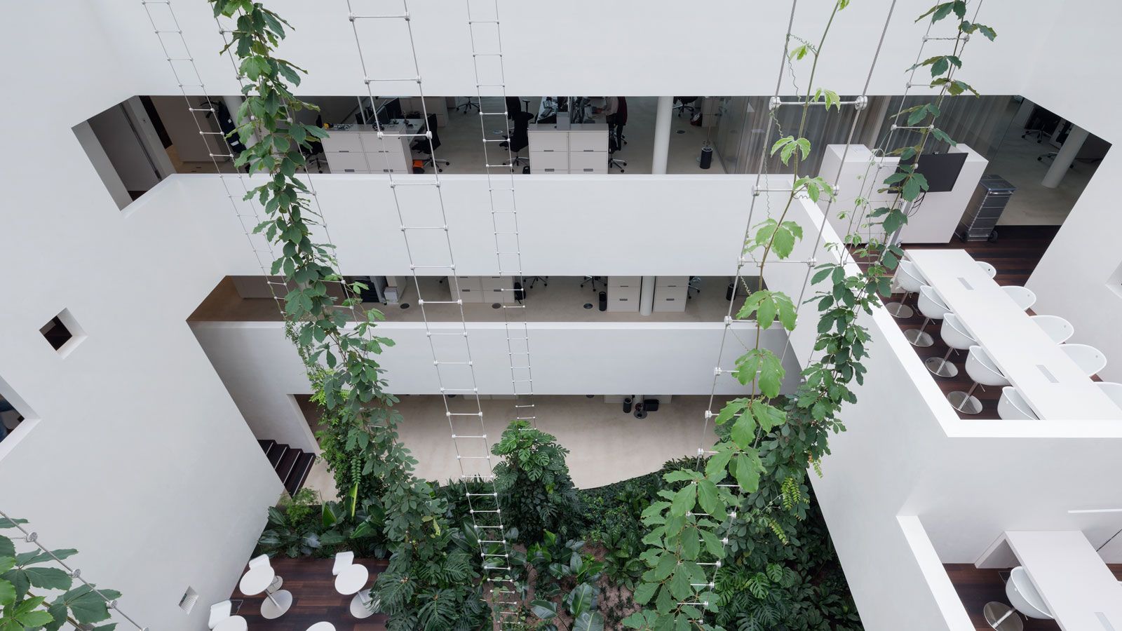 Novartis Campus Basel - Innenarchitektur Innenbegruenung © Hydroplant.jpg