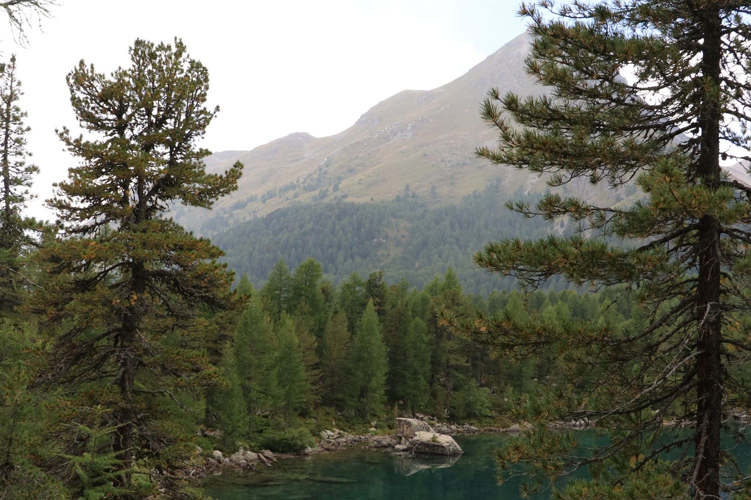 Teamausflug 2021 See - DOBAS AG.jpg