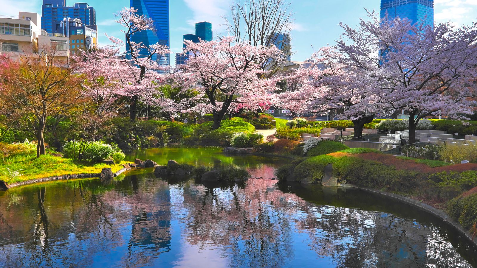 Roppongi Hills Mohri Garden © Mori Building Co Ltd.jpg