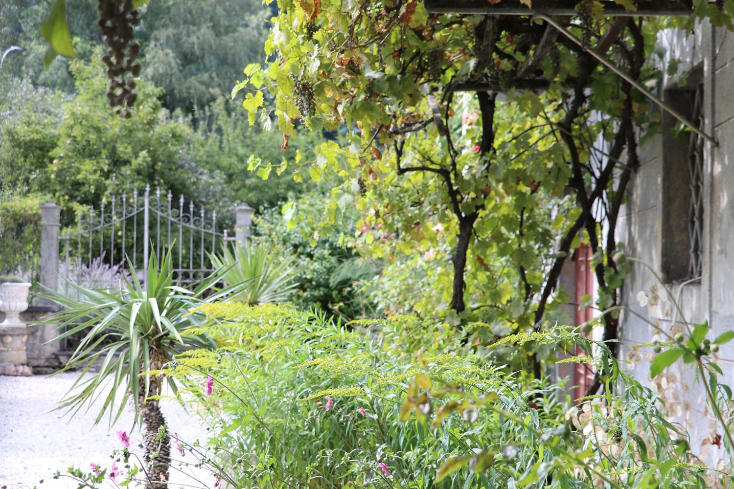 Teamausflug 2021 Poschiavo 5 - DOBAS AG.jpg