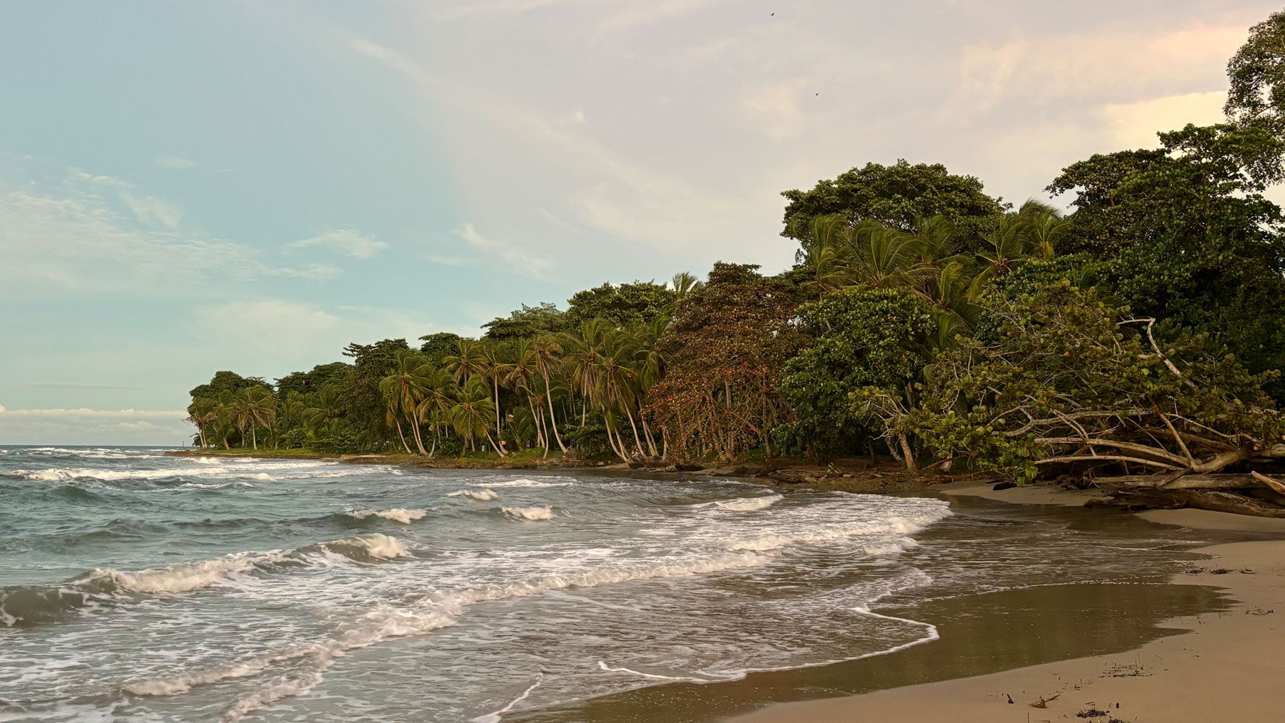 Puerto Viejo Playa Cocles - Reisejournal Carolin Kotte - DOBAS.jpg