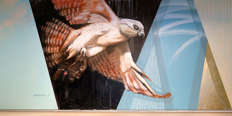 Ein Falke fliegt um die Welt